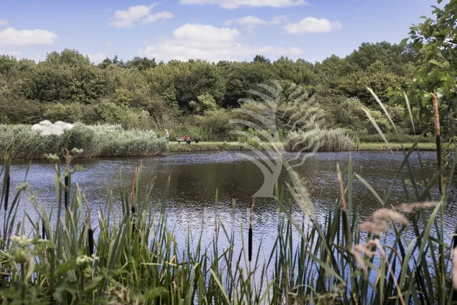 Nationaal Park De Biesbosch