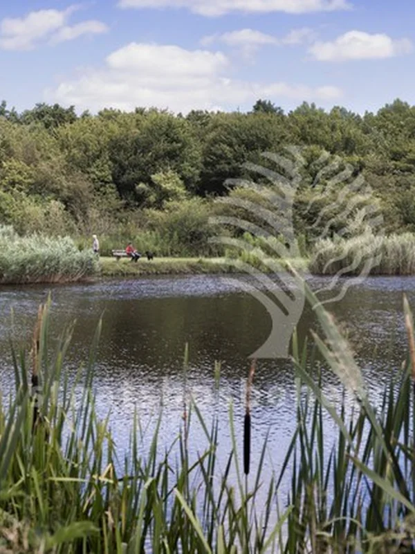 Nationaal Park De Biesbosch